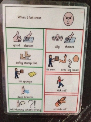 Examples of a PECS chart for Autism.