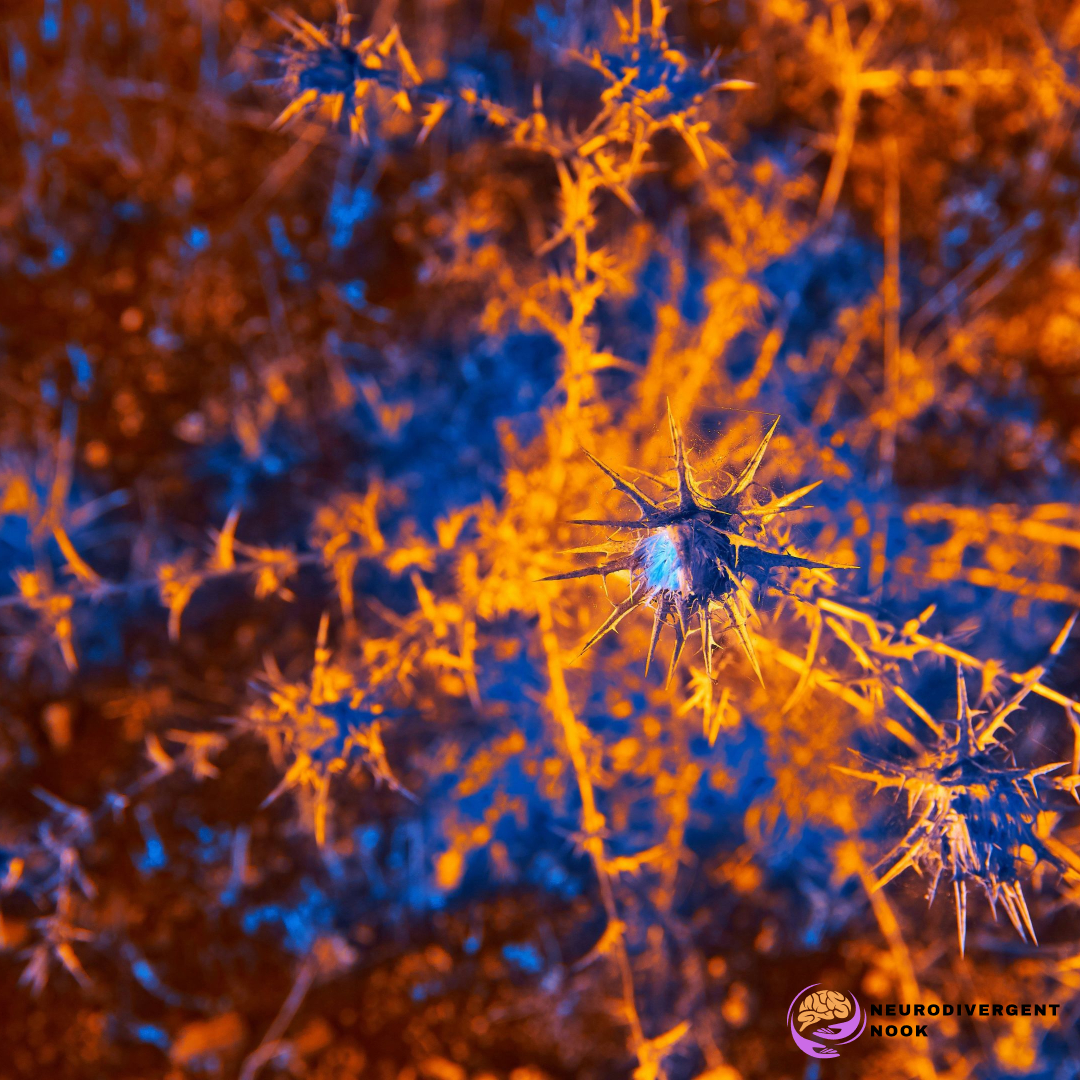 Processing Uta Frith’s Commentary: Why We Need to Move Forward Together