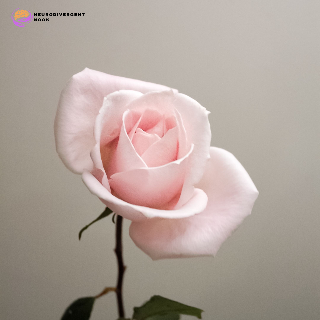 Navigating Rejection Sensitive Dysphoria: Tips for Understanding Your RSD